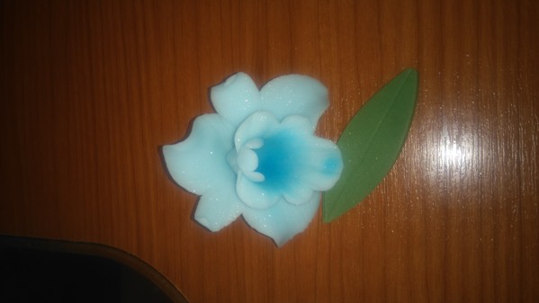 Orchidea Modrá d6cm