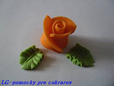 Ruža cukrova stredná Oranžová 3 ks + 6 lístkov