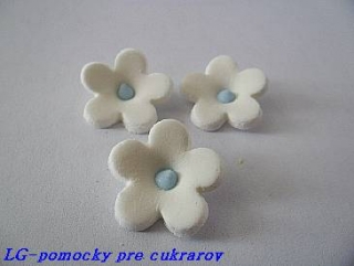 Kvet Jablonkový veľký Biely s modrým stredom 200ks/bal