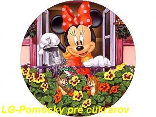 Mickey mouse 6