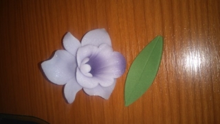 orchidea Fialová d6cm