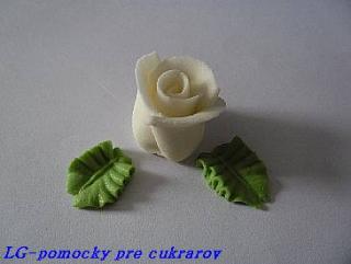 Ruža cukrová stredná Biela 3ks+6 listkov
