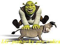 Shrek 12